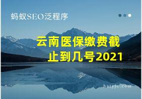 云南医保缴费截止到几号2021