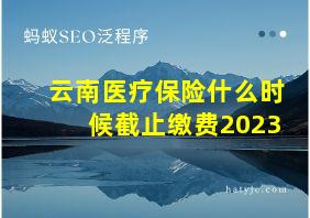 云南医疗保险什么时候截止缴费2023