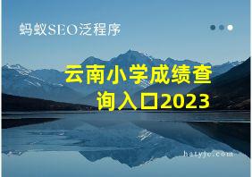 云南小学成绩查询入口2023