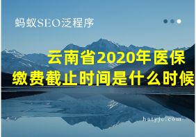 云南省2020年医保缴费截止时间是什么时候