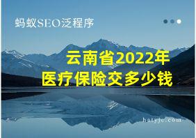 云南省2022年医疗保险交多少钱