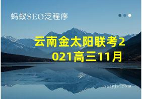 云南金太阳联考2021高三11月