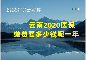 云南2020医保缴费要多少钱呢一年