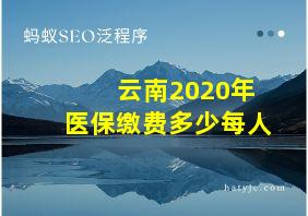 云南2020年医保缴费多少每人