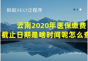 云南2020年医保缴费截止日期是啥时间呢怎么查