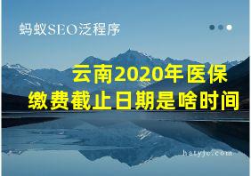 云南2020年医保缴费截止日期是啥时间