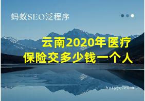 云南2020年医疗保险交多少钱一个人