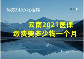 云南2021医保缴费要多少钱一个月