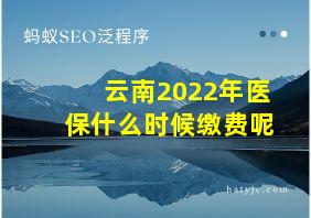 云南2022年医保什么时候缴费呢