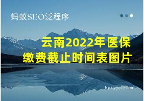 云南2022年医保缴费截止时间表图片