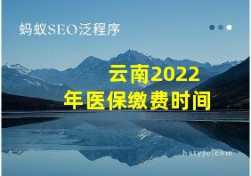 云南2022年医保缴费时间