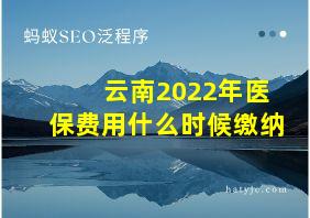 云南2022年医保费用什么时候缴纳