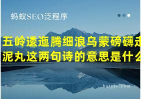 五岭逶迤腾细浪乌蒙磅礴走泥丸这两句诗的意思是什么