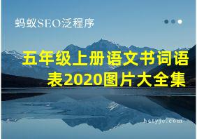 五年级上册语文书词语表2020图片大全集