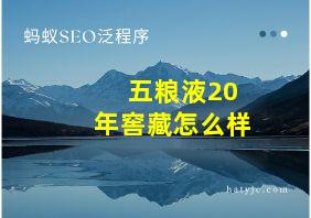 五粮液20年窖藏怎么样