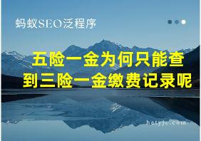 五险一金为何只能查到三险一金缴费记录呢