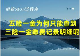 五险一金为何只能查到三险一金缴费记录明细呢