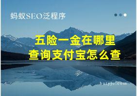 五险一金在哪里查询支付宝怎么查