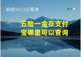 五险一金在支付宝哪里可以查询