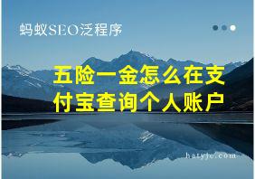 五险一金怎么在支付宝查询个人账户