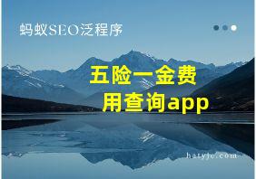 五险一金费用查询app