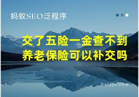 交了五险一金查不到养老保险可以补交吗