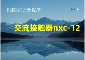 交流接触器nxc-12