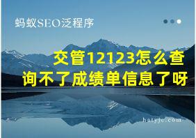 交管12123怎么查询不了成绩单信息了呀