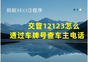 交管12123怎么通过车牌号查车主电话