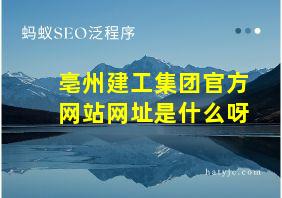 亳州建工集团官方网站网址是什么呀