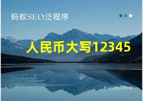 人民币大写12345