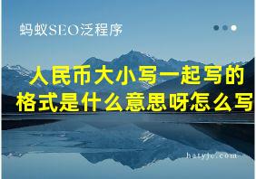 人民币大小写一起写的格式是什么意思呀怎么写