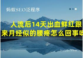 人流后14天出血鲜红跟来月经似的腰疼怎么回事呀