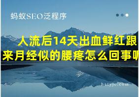 人流后14天出血鲜红跟来月经似的腰疼怎么回事呢