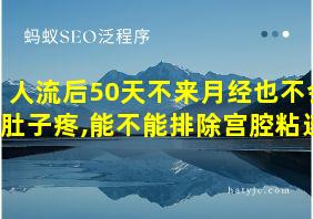 人流后50天不来月经也不会肚子疼,能不能排除宫腔粘连