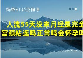 人流55天没来月经是完全宫颈粘连吗正常吗会怀孕吗