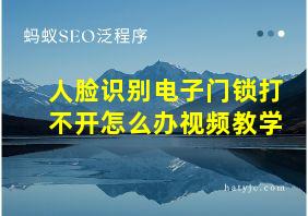 人脸识别电子门锁打不开怎么办视频教学