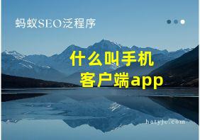 什么叫手机客户端app