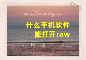 什么手机软件能打开raw