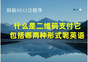 什么是二维码支付它包括哪两种形式呢英语