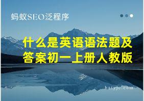 什么是英语语法题及答案初一上册人教版