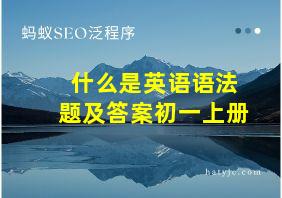 什么是英语语法题及答案初一上册