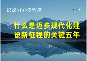 什么是迈步现代化建设新征程的关键五年