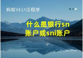 什么是银行sn账户或sni账户