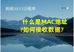 什么是MAC地址?如何接收数据?