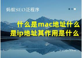 什么是mac地址什么是ip地址其作用是什么