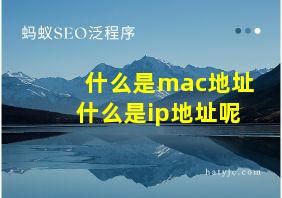 什么是mac地址什么是ip地址呢