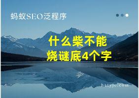 什么柴不能烧谜底4个字