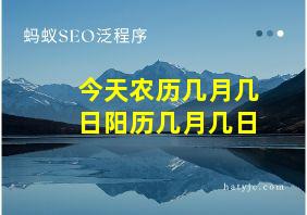 今天农历几月几日阳历几月几日