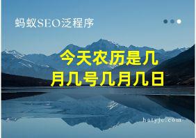 今天农历是几月几号几月几日